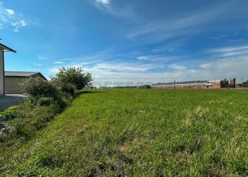 TERRENI - Terreno agricolo Via G. Marconi 10, Pavia di Udine - foto 5