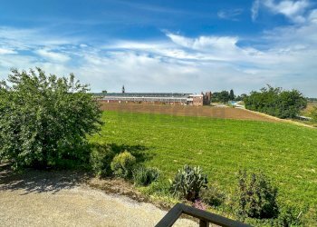 TERRENI - Terreno agricolo Via G. Marconi 10, Pavia di Udine - foto 7