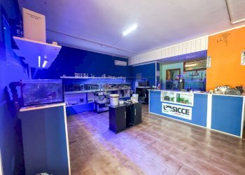 AREA VENDITA - Commercial Premises PIAZZA DELLA CHIESTA 20, Pozzuolo del Friuli - photo 6