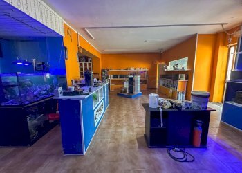 AREA VENDITA - Commercial Premises PIAZZA DELLA CHIESTA 20, Pozzuolo del Friuli - photo 9