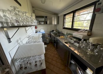 INTERNI - Locale Commerciale Viale Taglio 14, Palmanova - foto 12