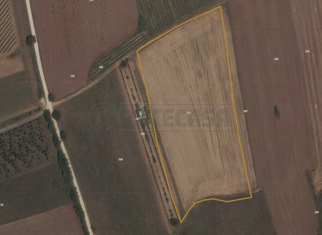 ESTERNI - Terreno agricolo Via Bolzano 66, San Giovanni al Natisone - foto 2