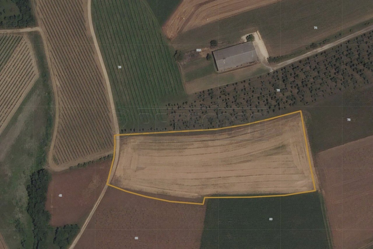 ESTERNI - Terreno agricolo Via Bolzano 66, San Giovanni al Natisone - foto 3
