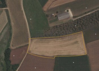 ESTERNI - Terreno agricolo Via Bolzano 66, San Giovanni al Natisone - foto 3