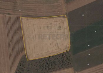 ESTERNI - Terreno agricolo Via Bolzano 66, San Giovanni al Natisone - foto 4