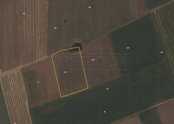 ESTERNI - Terreno agricolo Via Bolzano 66, San Giovanni al Natisone - foto 5