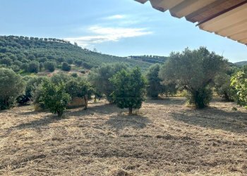 e48944f9-3e23-422b-8dbd-31c98f88d86b.jpg - Casa indipendente Via Fausto Gullo 81, Catanzaro - foto 19