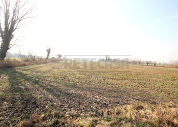 IMG_0005.JPG - Rustico Quinto Vicentino - foto 11