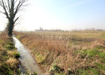 IMG_0006.JPG - Rustico Quinto Vicentino - foto 12