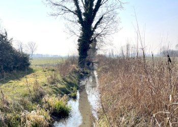 IMG_7714.JPG - Rustico Quinto Vicentino - foto 13