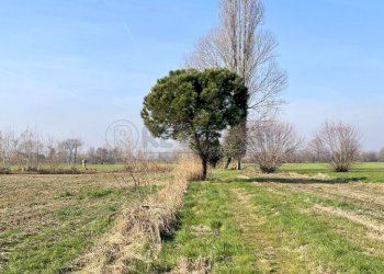 IMG_7718.JPG - Rustico Quinto Vicentino - foto 14