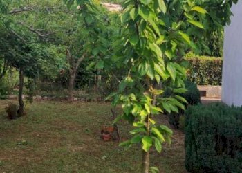 foto 1.jpg - Villa a Schiera Via Cese snc, Castelnuovo Parano - foto 2