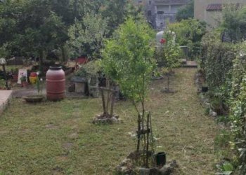 foto 17.jpg - Villa a Schiera Via Cese snc, Castelnuovo Parano - foto 16