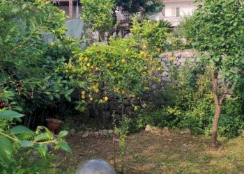 foto 19.jpg - Villa a Schiera Via Cese snc, Castelnuovo Parano - foto 18