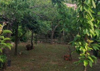 foto 21.jpg - Villa a Schiera Via Cese snc, Castelnuovo Parano - foto 20