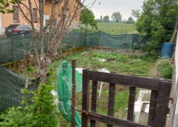 IMG-20250915-WA0042.jpg - Terratetto - Terracielo Via Guglielmo Marconi, Pozzaglio ed Uniti - foto 20