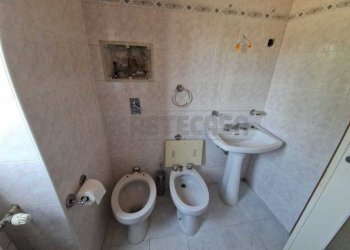 WhatsApp Image 2025-06-18 at 16.16.08 (1).jpeg - Trilocale Via Carlo Vittori, Cremona - foto 5