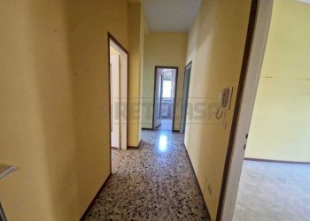 WhatsApp Image 2025-06-18 at 16.16.09.jpeg - Trilocale Via Carlo Vittori, Cremona - foto 13