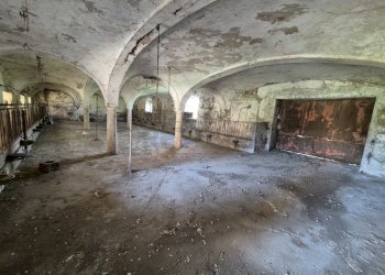 20250422_152349.jpg - Rustic Località Menabue, Gabbioneta-Binanuova - photo 10