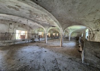 20250422_152359.jpg - Rustic Località Menabue, Gabbioneta-Binanuova - photo 11