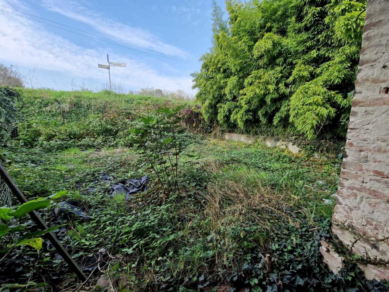 WhatsApp Image 2024-10-30 at 09.37.30.jpeg - Casale Via Nervi, San Daniele Po - photo 3