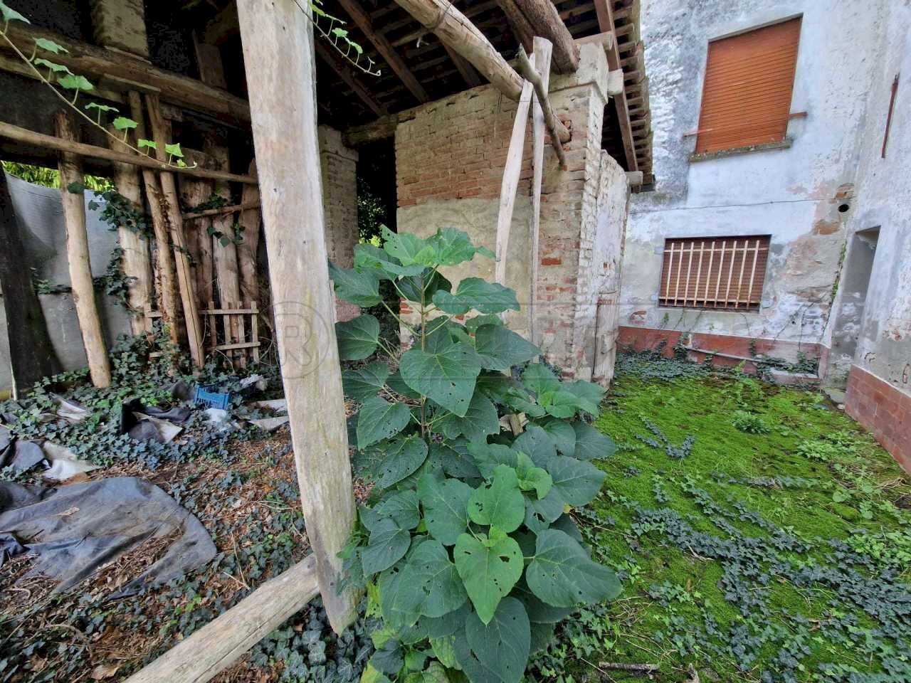 WhatsApp Image 2024-10-30 at 09.37.30 (4).jpeg - Casale Via Nervi, San Daniele Po - foto 2