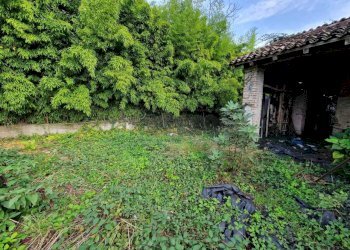 WhatsApp Image 2024-10-30 at 09.37.29.jpeg - Casale Via Nervi, San Daniele Po - photo 1