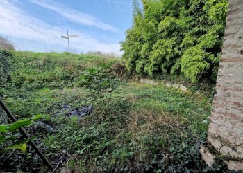 WhatsApp Image 2024-10-30 at 09.37.30.jpeg - Casale Via Nervi, San Daniele Po - photo 3