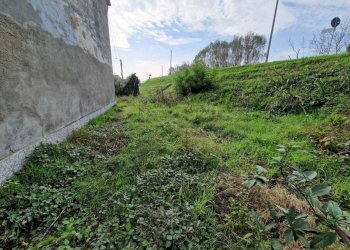 WhatsApp Image 2024-10-30 at 09.37.31 (1).jpeg - Casale Via Nervi, San Daniele Po - photo 4