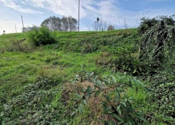 WhatsApp Image 2024-10-30 at 09.37.31.jpeg - Casale Via Nervi, San Daniele Po - photo 6