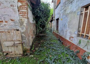 WhatsApp Image 2024-10-30 at 09.37.30 (1).jpeg - Casale Via Nervi, San Daniele Po - photo 10