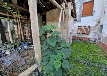 WhatsApp Image 2024-10-30 at 09.37.30 (4).jpeg - Casale Via Nervi, San Daniele Po - photo 11