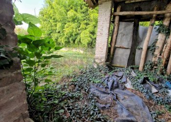 WhatsApp Image 2024-10-30 at 09.37.30 (2).jpeg - Casale Via Nervi, San Daniele Po - photo 12