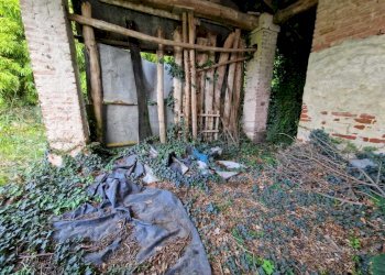 WhatsApp Image 2024-10-30 at 09.37.30 (3).jpeg - Casale Via Nervi, San Daniele Po - photo 13