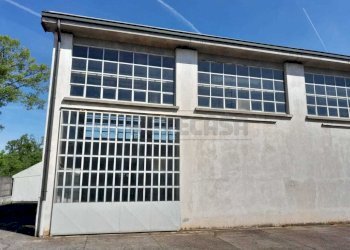 WhatsApp Image 2025-04-27 at 22.45.10.jpeg - Casa semi indipendente Via Donato Bramante 130, Crema - foto 7