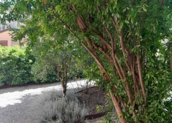 WhatsApp Image 2025-05-29 at 22.05.01 (1).jpeg - Casa indipendente Via Roma, Pianengo - foto 4