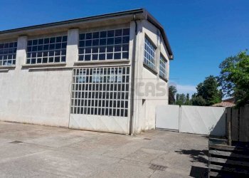 WhatsApp Image 2024-07-02 at 16.33.52 (5).jpeg - Casa indipendente Via Donato Bramante 130, Crema - foto 7