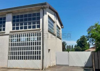 WhatsApp Image 2024-07-02 at 16.33.53.jpeg - Casa indipendente Via Donato Bramante 130, Crema - foto 9