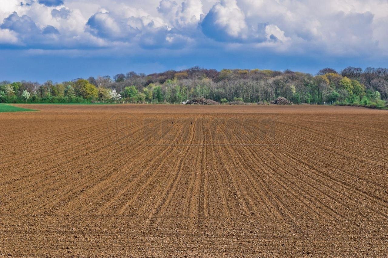 preparazione-terreno,3824.jpg - Terreno edificabile Castelvetrano - foto 1