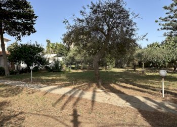 IMG_5806.JPG - Villa Mazara del Vallo - foto 4