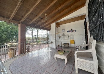 IMG_5819.JPG - Villa Mazara del Vallo - foto 1