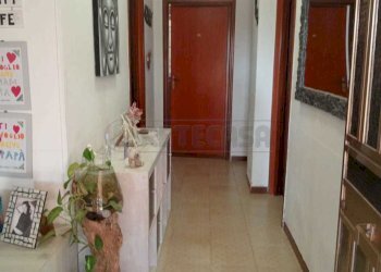 PHOTO-2025-07-30-11-40-34-3.jpg - Villa Mazara del Vallo - foto 20