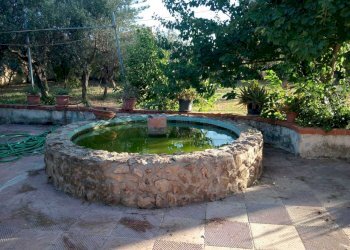 PHOTO-2025-07-30-11-40-36-5.jpg - Villa Mazara del Vallo - foto 27