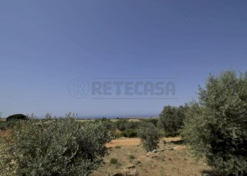 71caefe1-f828-4f80-a29b-a1258f99019b.JPG - Villa Menfi - foto 26