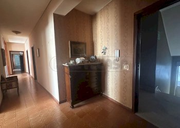 PHOTO-2025-07-28-09-53-15.jpg - Appartamento Mazara del Vallo - foto 4