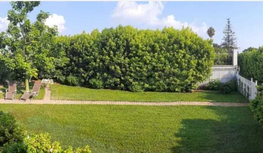 PHOTO-2025-03-29-13-12-40-1.jpg - Villa Petrosino - photo 3