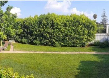 PHOTO-2025-03-29-13-12-40-1.jpg - Villa Petrosino - foto 3