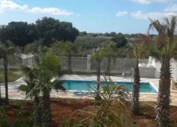 PHOTO-2025-03-15-12-14-23-1.jpg - Villa Castelvetrano - foto 3