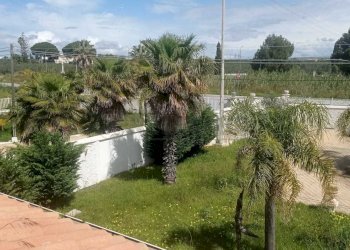 PHOTO-2025-03-26-12-58-27-1.jpg - Villa Castelvetrano - foto 5