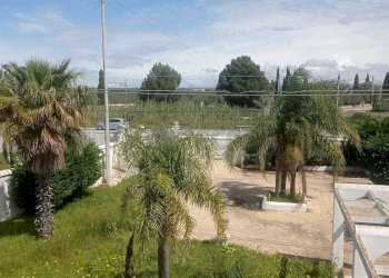 PHOTO-2025-03-26-12-58-28.jpg - Villa Castelvetrano - foto 6